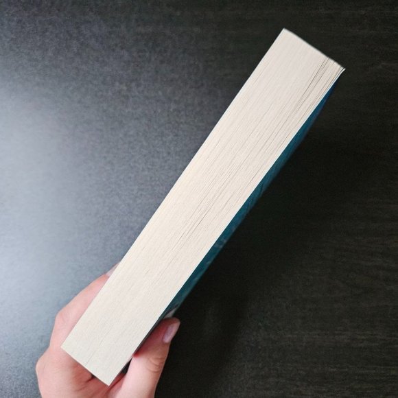 4/$20 The Daughter by Michelle Frances - Paperback - Picture 4 of 5